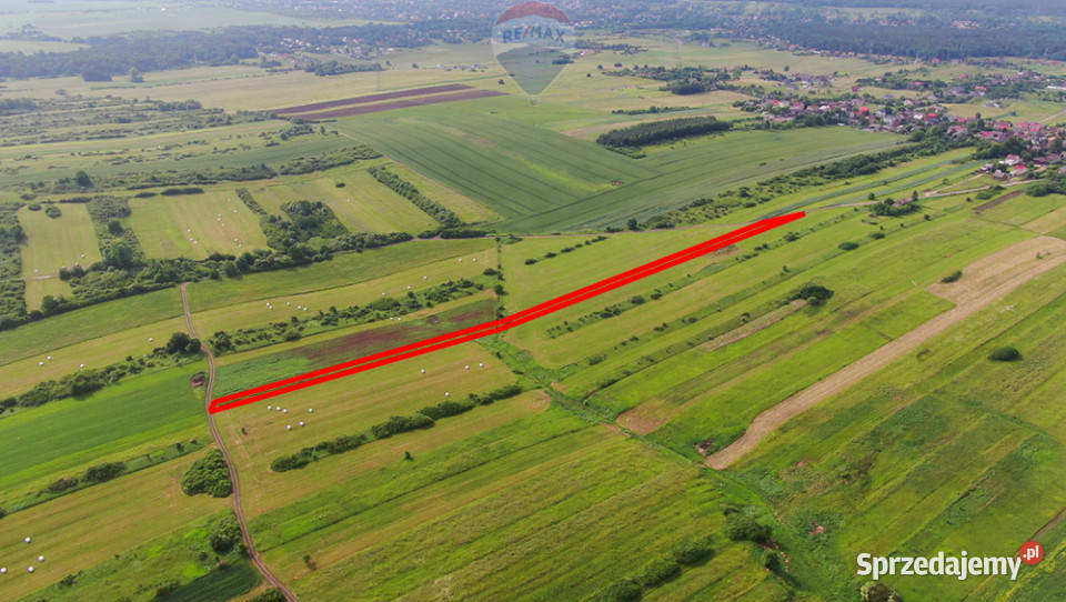 Działka rolna PorębaNiwki 10m Poręba