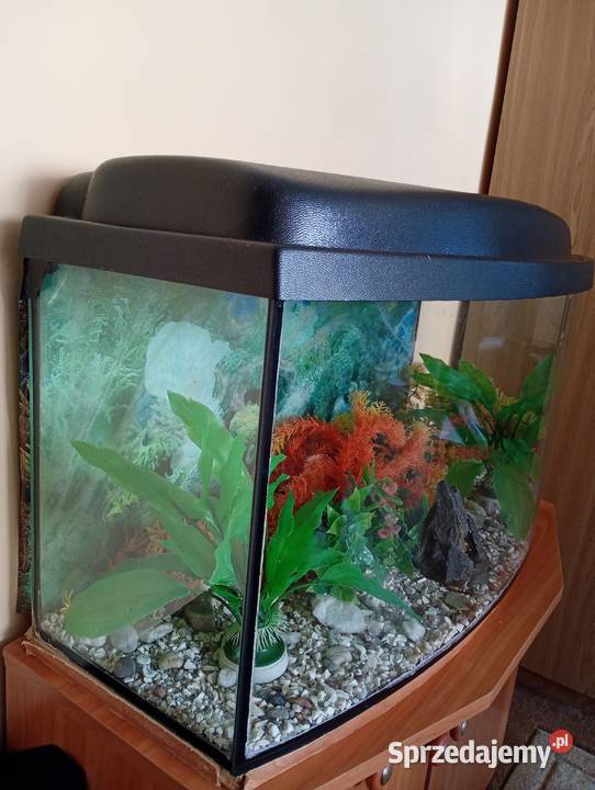 Sprzedam akwarium Suwałki