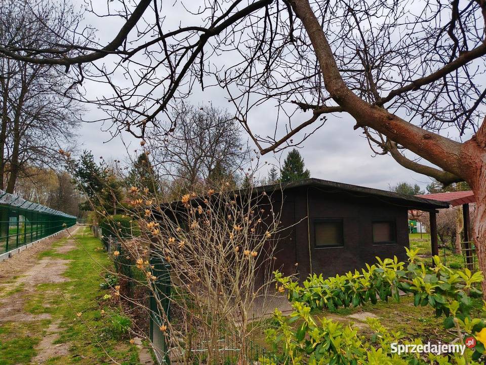 OKAZJA Domek 35m 15m Taras DZIAŁKA 4 ARY ROD małopolskie Balice