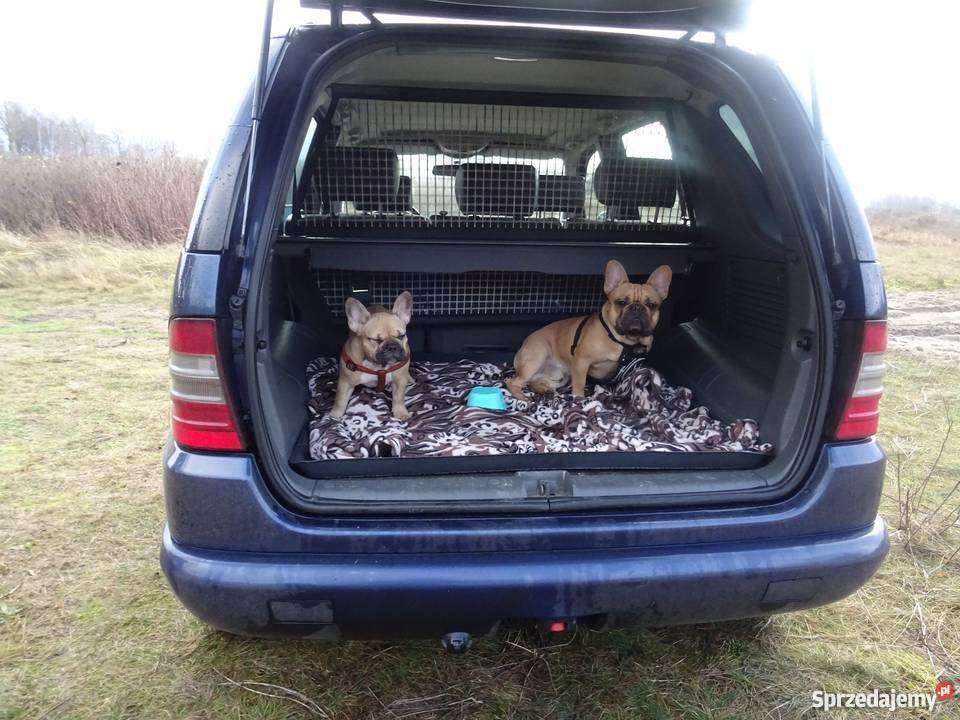 Mercedes Benz ML 320 W163 M-klasa Koszalin