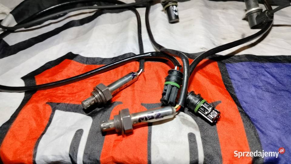 Bmw e39 e36 e38 m52 sondasondy simens sprawne Aleksandrów Łódzki