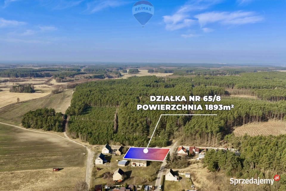 Działka lesie z warunkami zabudowy Leśniów Mały