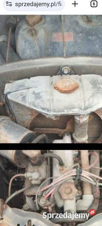 fiat 500 c belvedere Szczecin