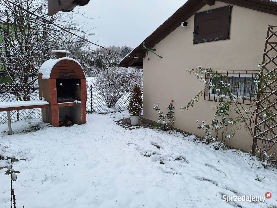 Działka rekreacyjna Rod Rozkwit 142zł/m2 Wodzisław Śląski