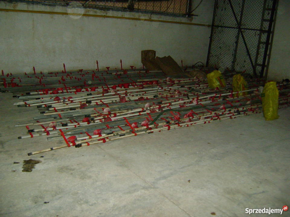 Linia pojenia poidła indoor drobiu Zwierzęta Skwierzyna