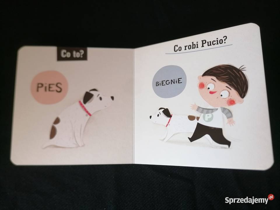 Co robi Pucio Marta GalewskaKustra łódzkie