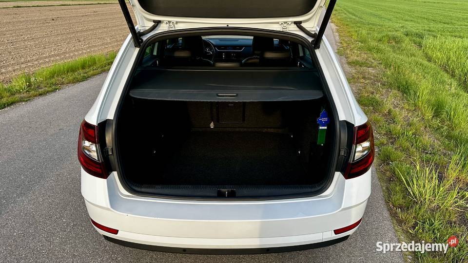 Skoda Octavia 20 TDI 4x4 DSG ASO Keyless LED centralny zamek Warszawa