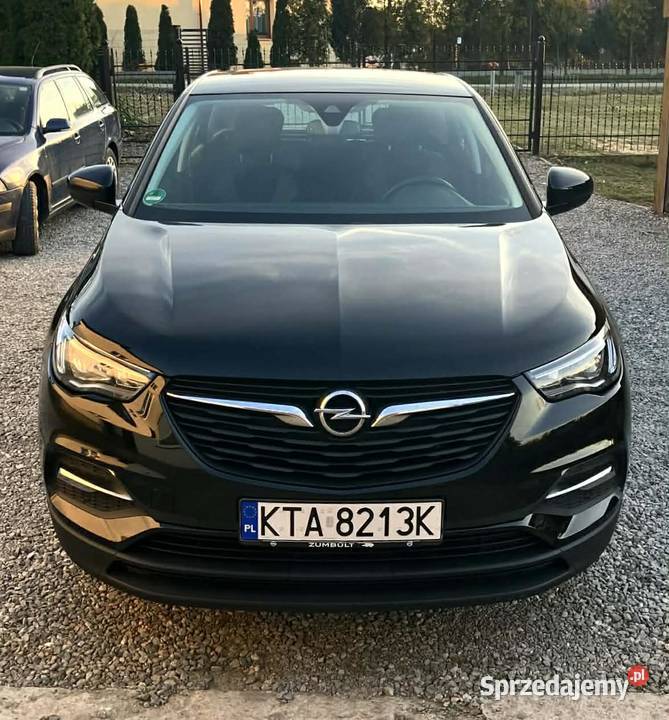 Opel Grandland X 16 CDTI 120 2018 Diesel 168 Zalasowa sprzedam