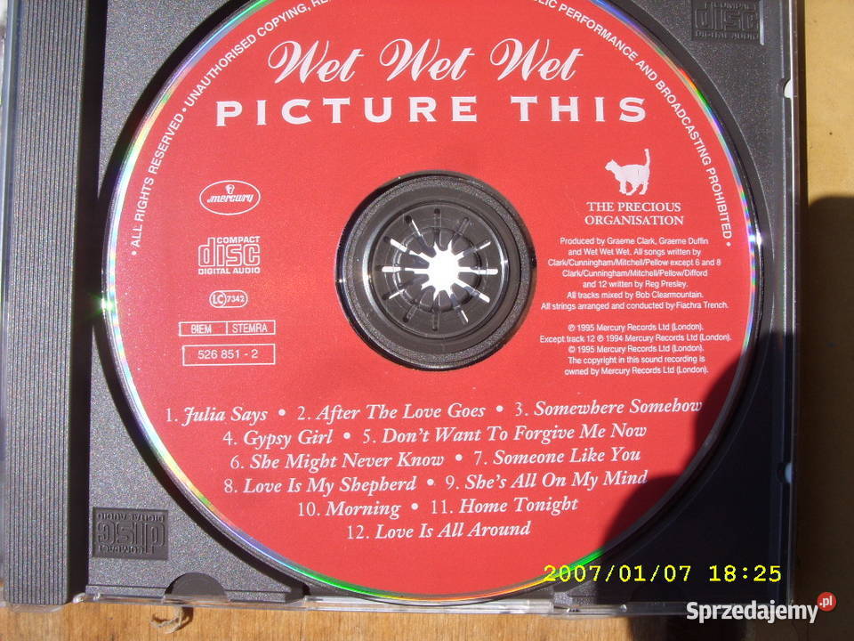 Rock CD WE WE WETPICTURE THIS Wołów sprzedam