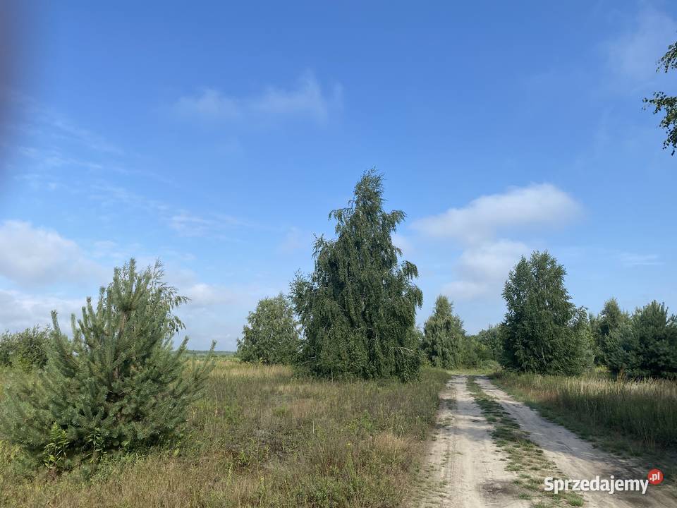 DZIAŁKA INWESTYCYJNA W POBLIŻU LOTNISKA WARSZAWA Nowy Modlin sprzedam