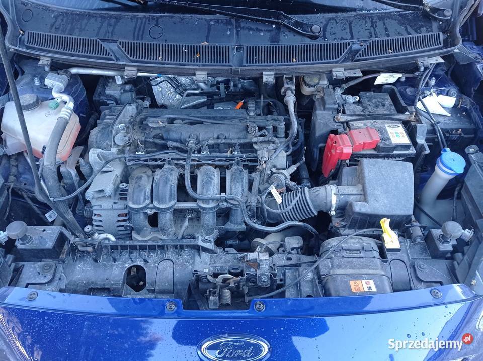 Ford Ka 12 Ekonomiczny Salon 1 wł nowości ASR (kontrola trakcji)