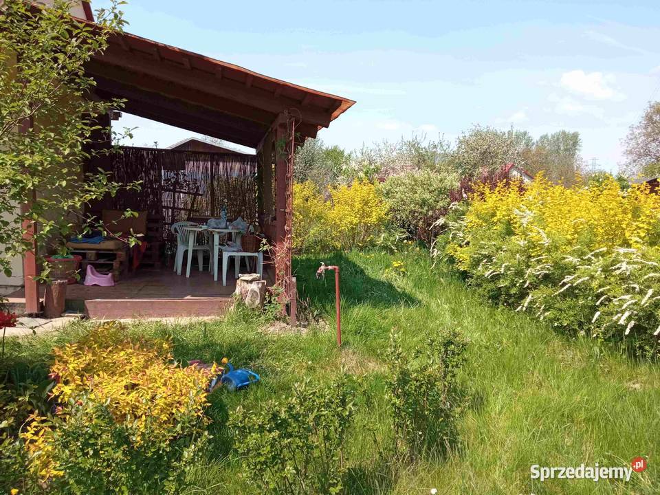 Działka rekreacyjna ROD na sprzedaż