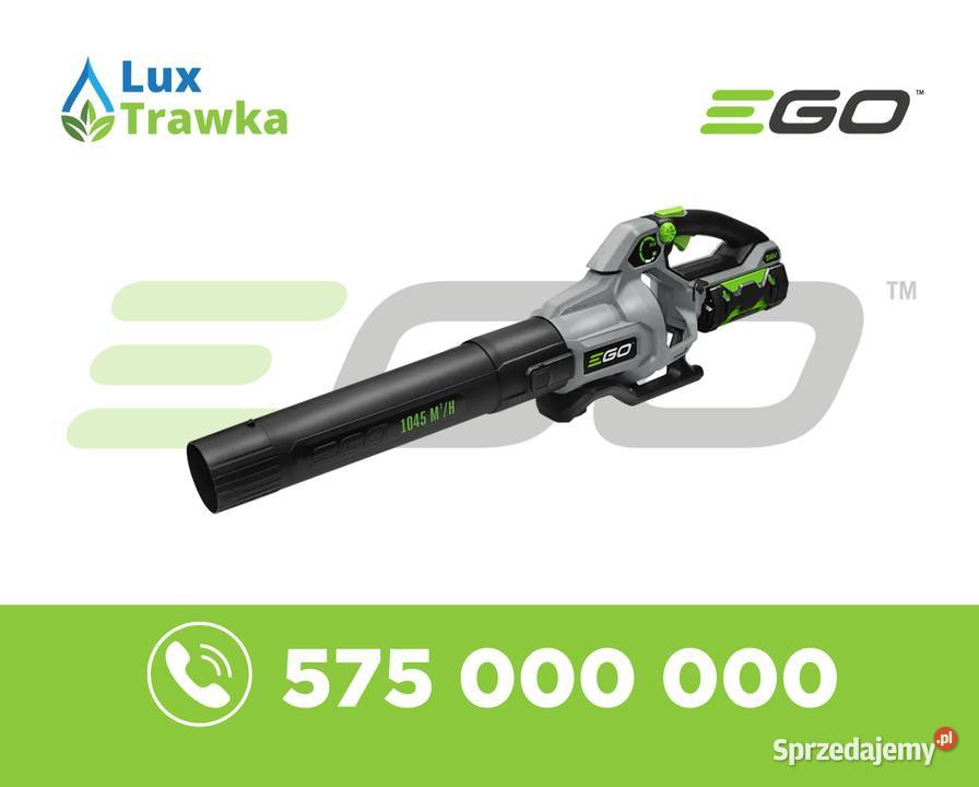 Dmuchawa akumulatorowa do liściśniegu EGO Power małopolskie Bukowina Tatrzańska