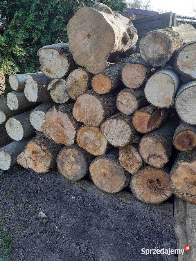 drewno drzewo na opał do kominka Ogrzewanie Kamienica Polska