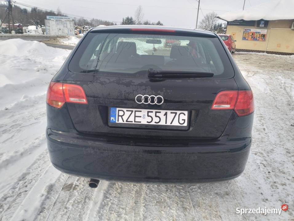 Audi A3 8P 16 B 115 Rok produkcji 2006 Rzeszów