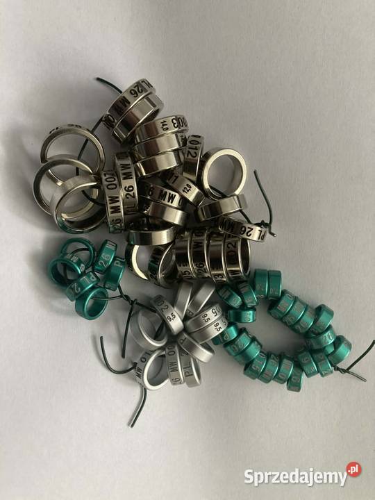 kanarek obrączki - Twój inicjał, CIH, sygnum