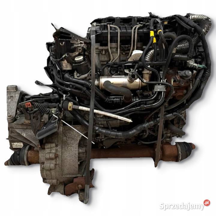 SILNIK G8DB Ford Focus II MK2 C 16 TDCI 109 Chełm sprzedam