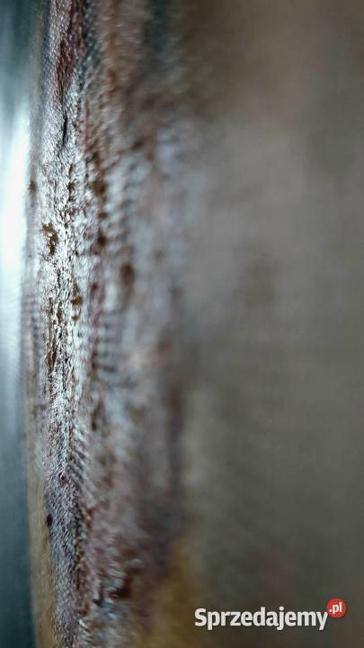 Kobieta Lato Piękny Obraz Olejny 50100 Lublin