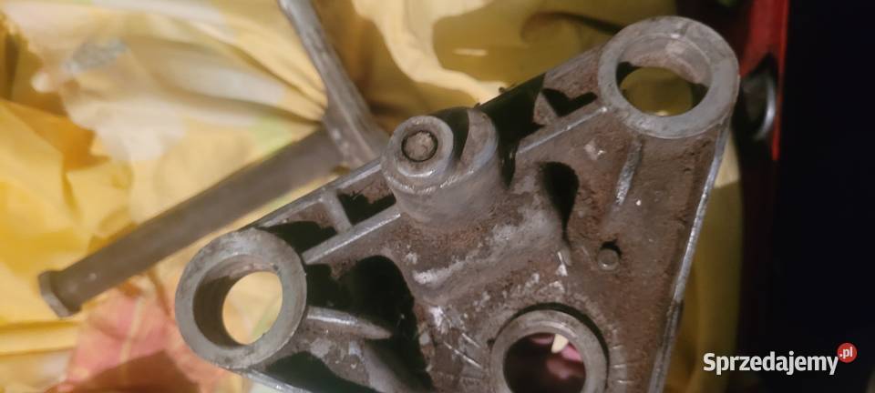 Półki mz ts Czekarzewice Drugie