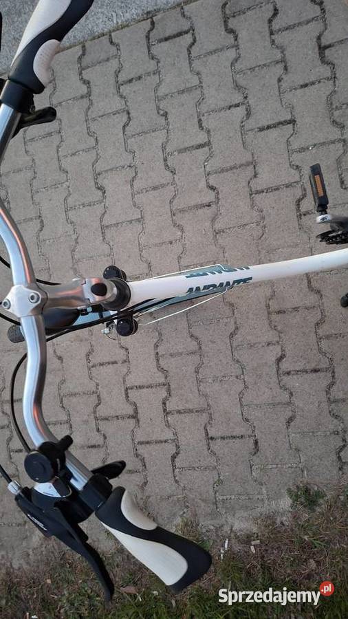 Rower kross damski Miejskie Leszno