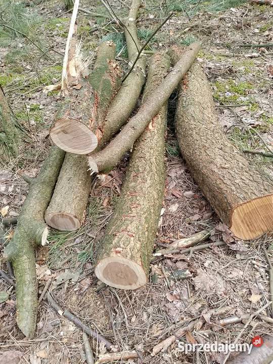 Sprzedam Gniewkowo sprzedam