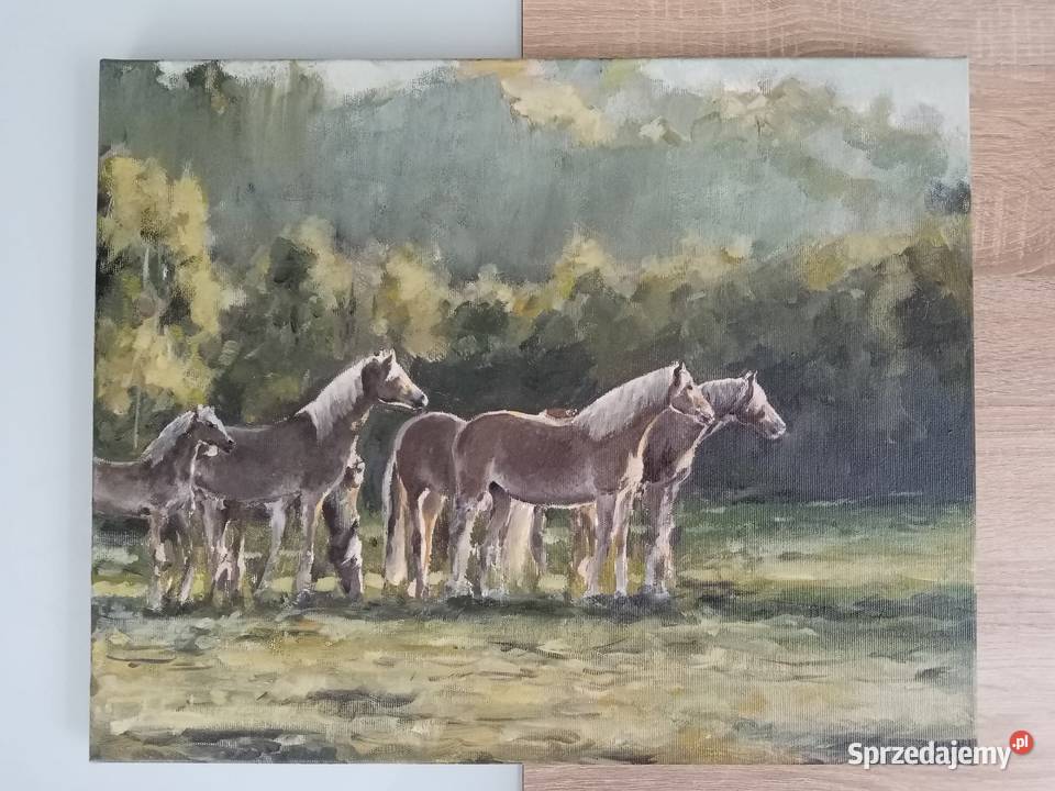 Obraz na płótnie 40x50 konie Przeworsk