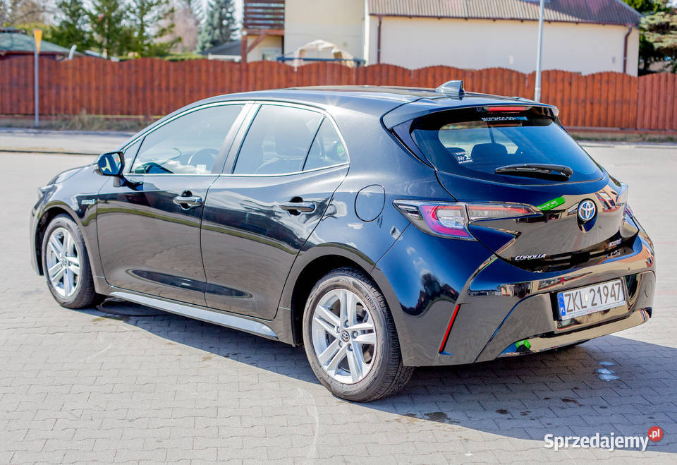 Toyota Corolla Toyota Corolla hybryda 2019