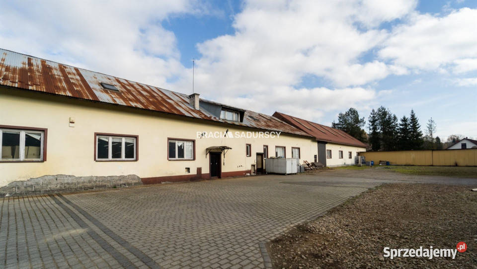 sprzedaży lokalu Leńcze 1591m2 sprzedam