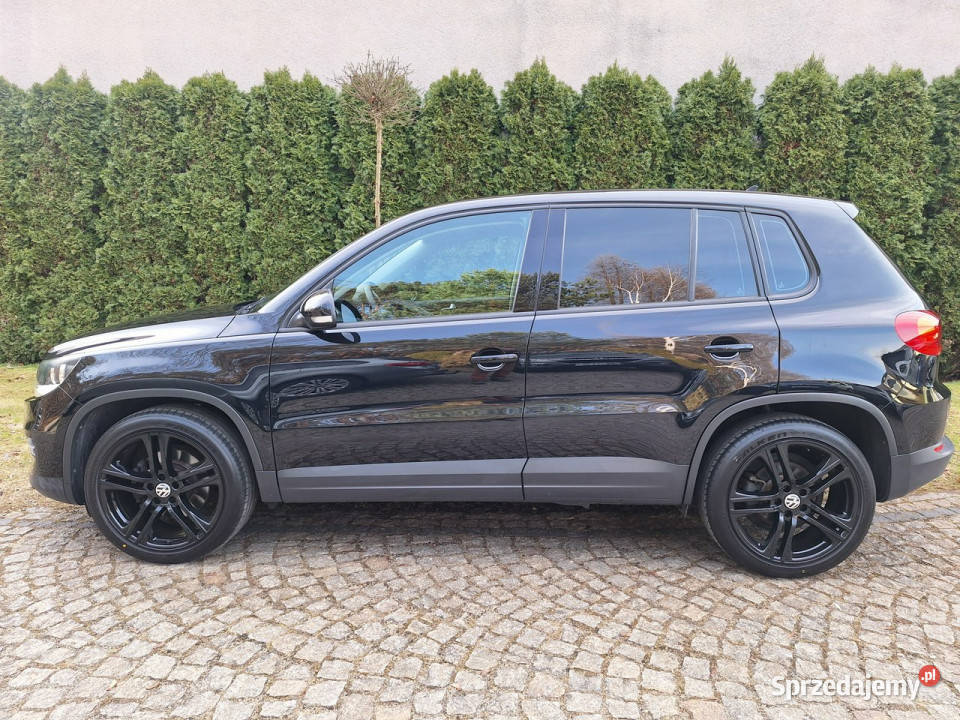 Volkswagen Tiguan BlueMotion Technology Trend śląskie Siewierz