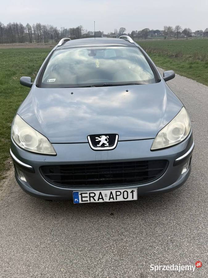 Peugeot 407