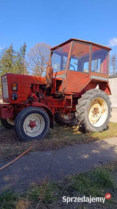 Władimiriec t25 Skrzynia biegów Manualna Domaradzice