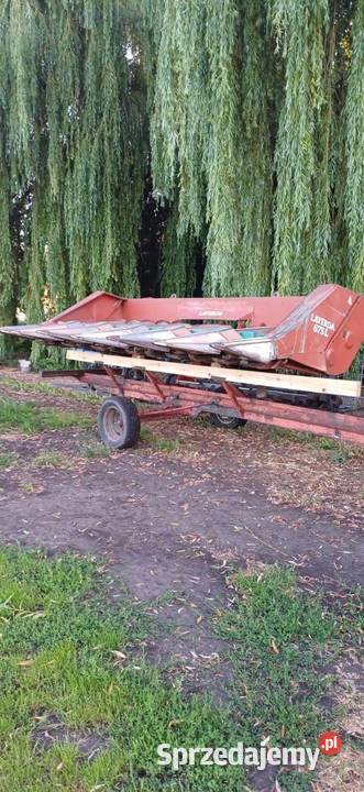 Przystawka do kukurydzy Laverda 675L 6 rzędów Modryń