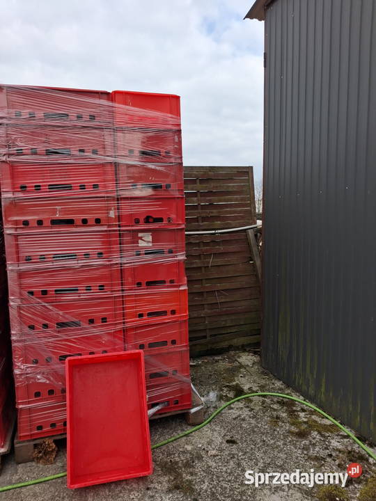 Skrzynki plastikowe na mięso świętokrzyskie Działoszyce