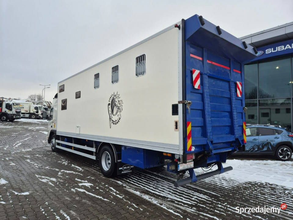 Volvo FM7 DO BYDŁA I KONI Volvo FM 7 DO PRZEWOZU 358000km Łaziska Górne