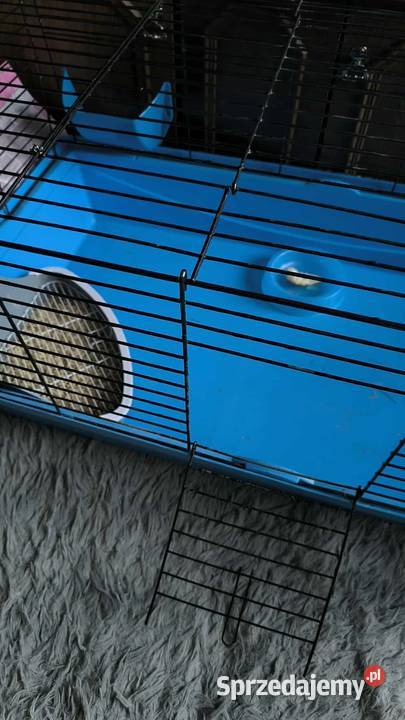 Duża klatka królika innego gryzonia 100 x 50 x kujawsko-pomorskie Bydgoszcz sprzedam