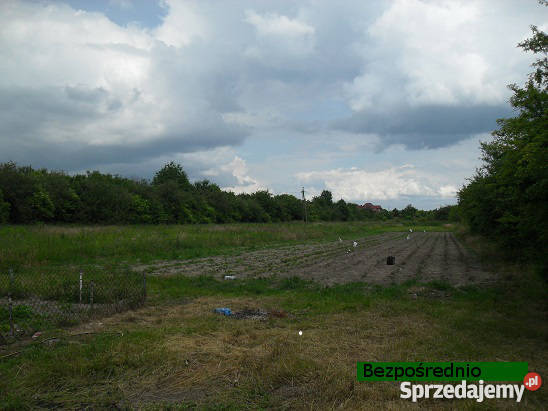 sprzedam działkę w Grójcu 2800m2 Grójec
