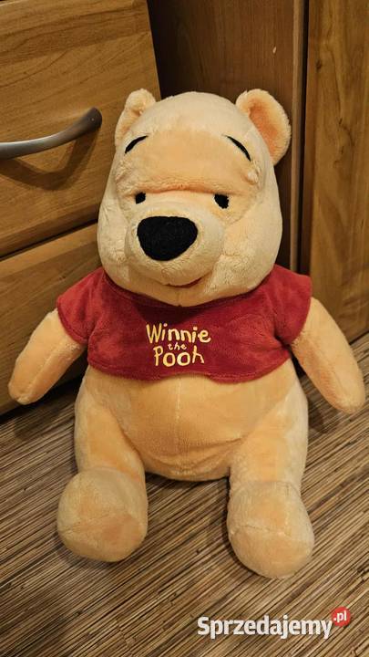 maskotka Kubuś Puchatek łódzkie Łódź