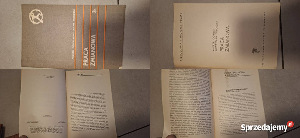 Praca zmianowa Ogórski Kołodziej 1973 Rzadkie 1 Swarzędz