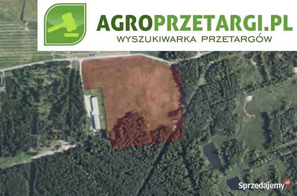 Dzierżawa 15105 ha gruntu rolnego Tarnobrzeg sprzedam