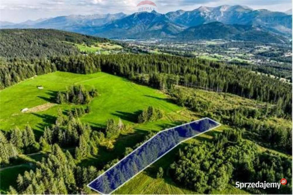 DZIAŁKI ROLNE SPRZEDAŻ DZIANISZ SKŁADZISKA