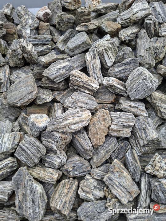 Serpentynit Głazy dolomitowe głazy filitowe Zgierz