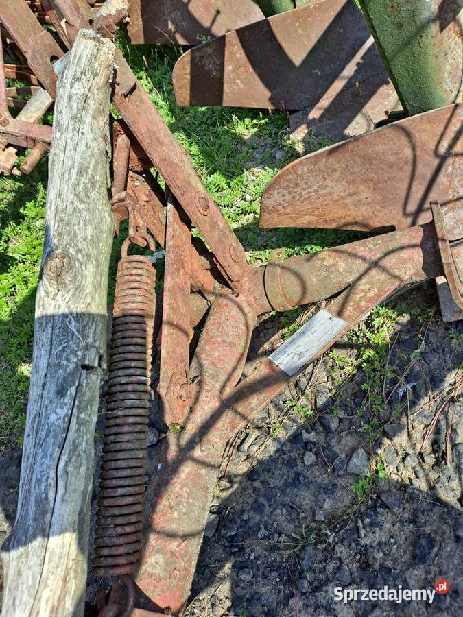 Słoneczko przewracarka Nowa Słupia