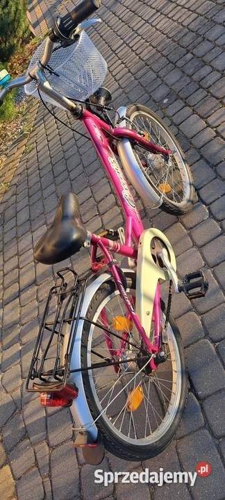 rower dziecięcy Dla Dziecka Nowe Grobice sprzedam