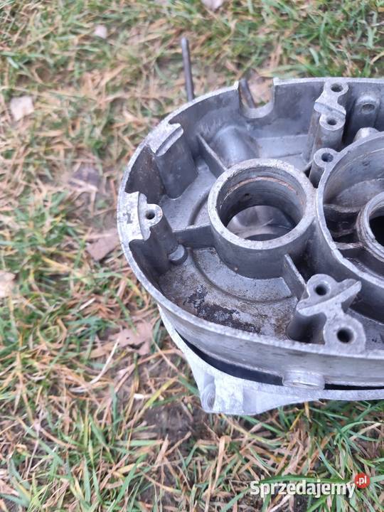 Kartery komar Łańcut