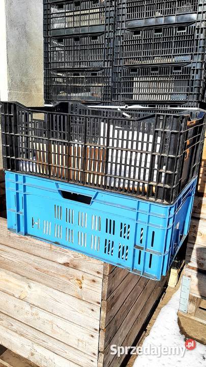 Klatki wymiar 604022