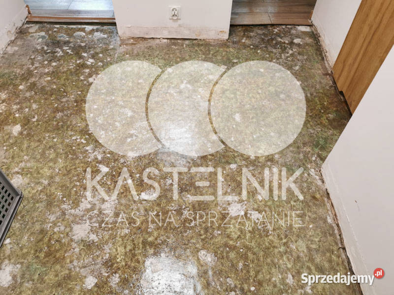 Sprzątanie zalaniach usuwanie szkód Chodzież