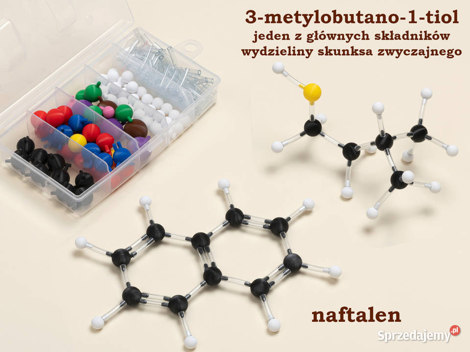 Modele atomów CHEMIA ORGANICZNA szkoła podst 200 Warszawa