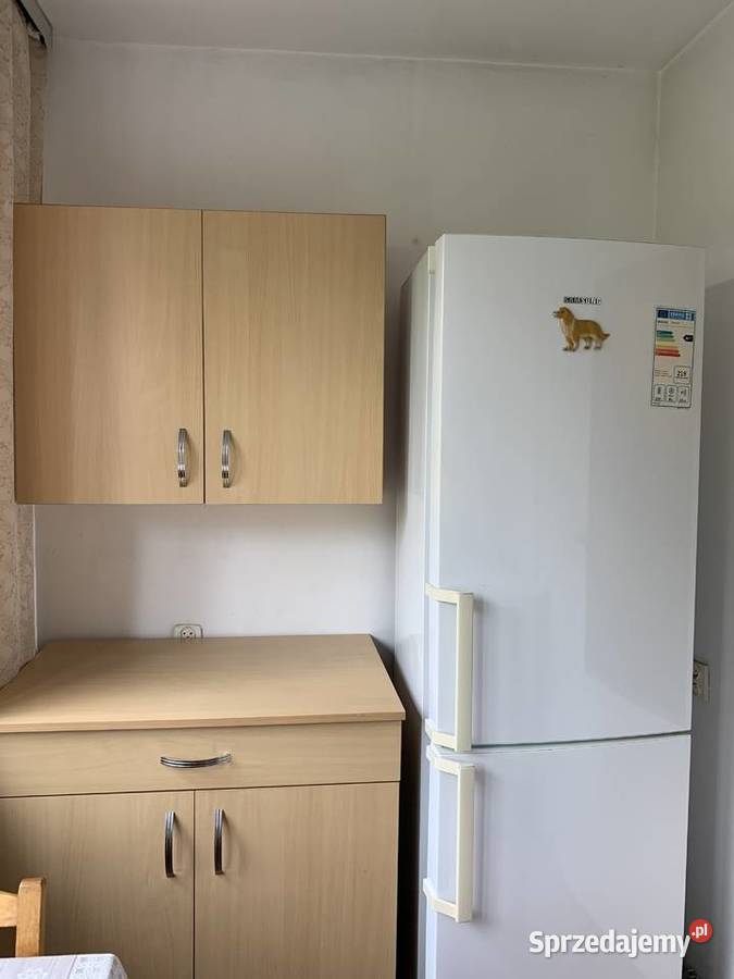 Wynajmę mieszkanie 3 pokoje 57 m3 LSM koło Nieruchomości