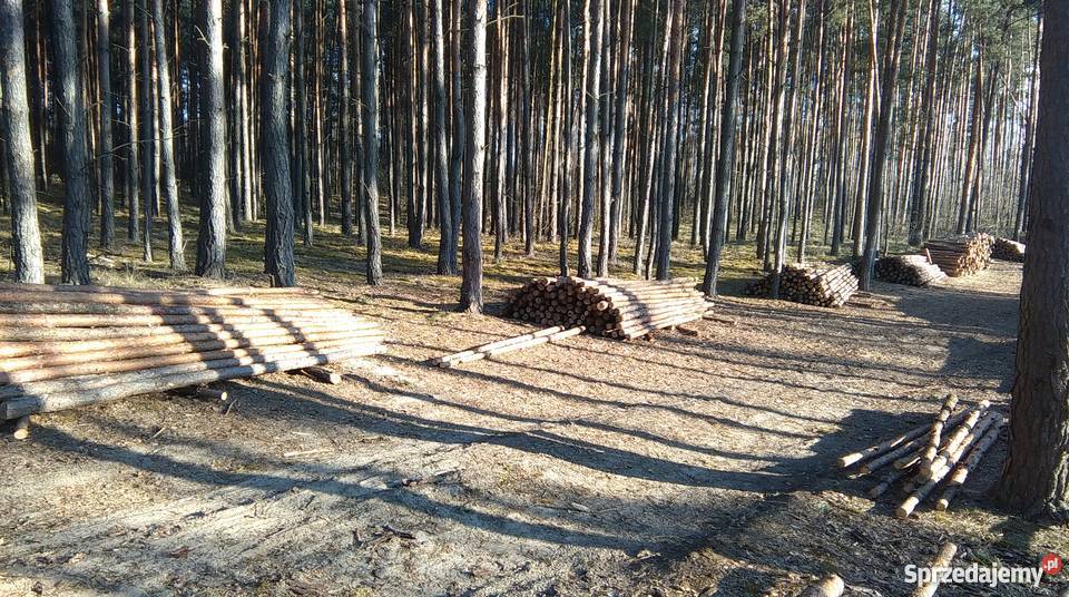 Stemple Budowlane 3M 35M i 4 Metrowe mazowieckie