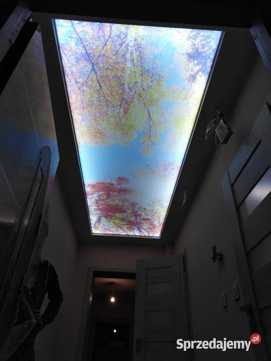 Usługi Remontowe Awimex Szałe